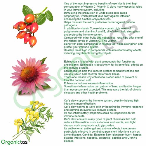 Té profesional Immune System Booster en bolsas con uña de gato, equinácea y rosa mosqueta - Imagen 2 de 12
