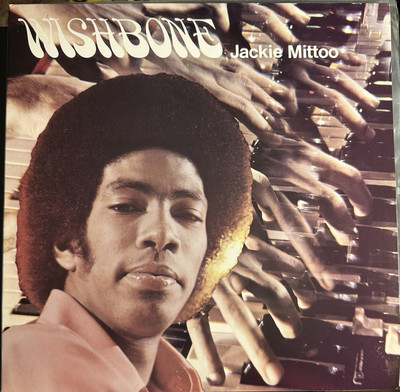 Jackie Mittoo - Wishbone LP Light In The Attic 2006 Reggae Soul EX Vinyl