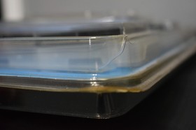 Neo Geo Pocket Color Arcade Console With 6 Games Blisterpack