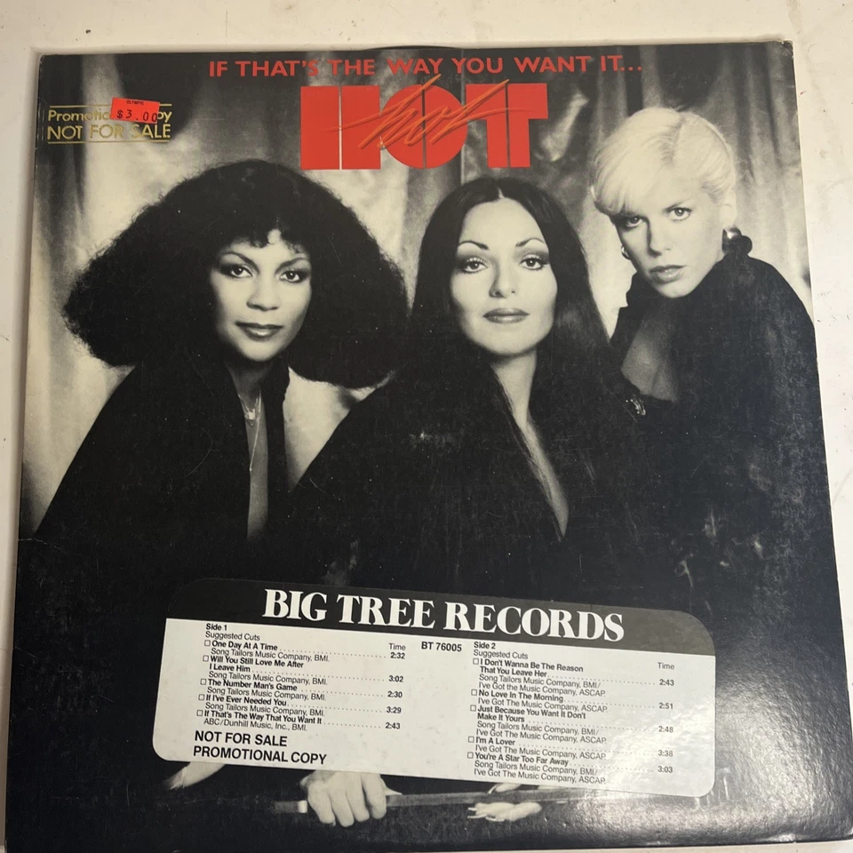 Hot If That's The Way You Want It...You Got It (1978) Vinyl LP (BT 76005) Promo - Image 4 of 4