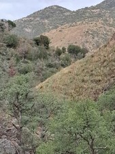 20 Acre Unpatented Mining Claim Madera Canyon Tucson Area