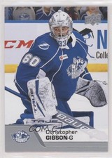 2020-21 Upper Deck AHL Christopher Gibson #111 0il7