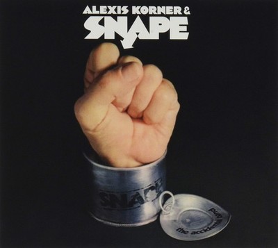 Accidentally Born In New Orleans [Audio CD] Alexis Korner & Snape  [Tracked 24..