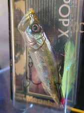 Megabass Pop X Old '02 First Shipment IL Tennessee Shad