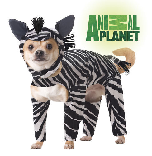 Animal Planet Costume Size Chart