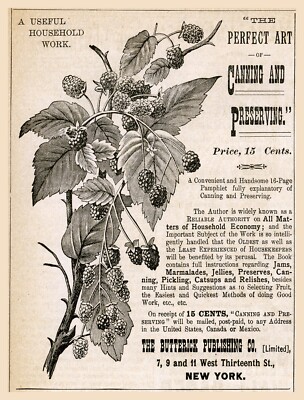 11104.Decor Poster.Vintage Interior wall art design.Fruit Can preserves.Kitchen