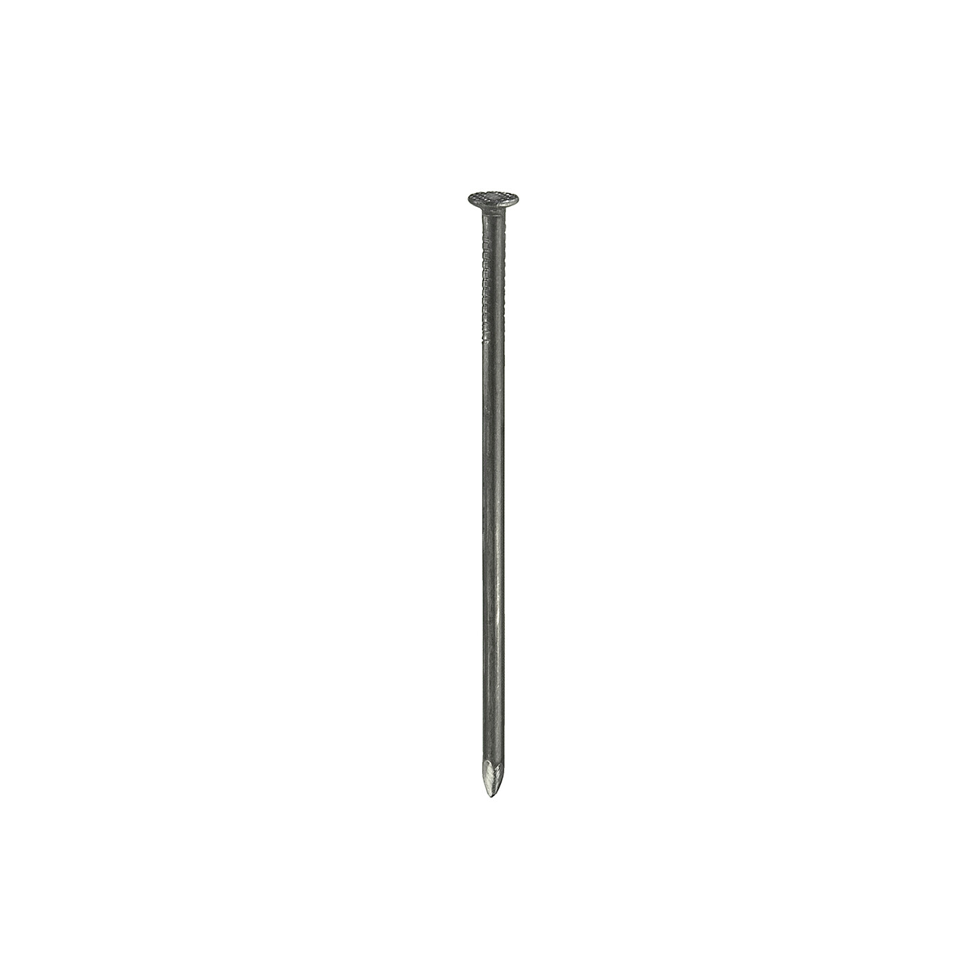 Chiodi testa piana 2,8 x 65 - 2,5 kg.