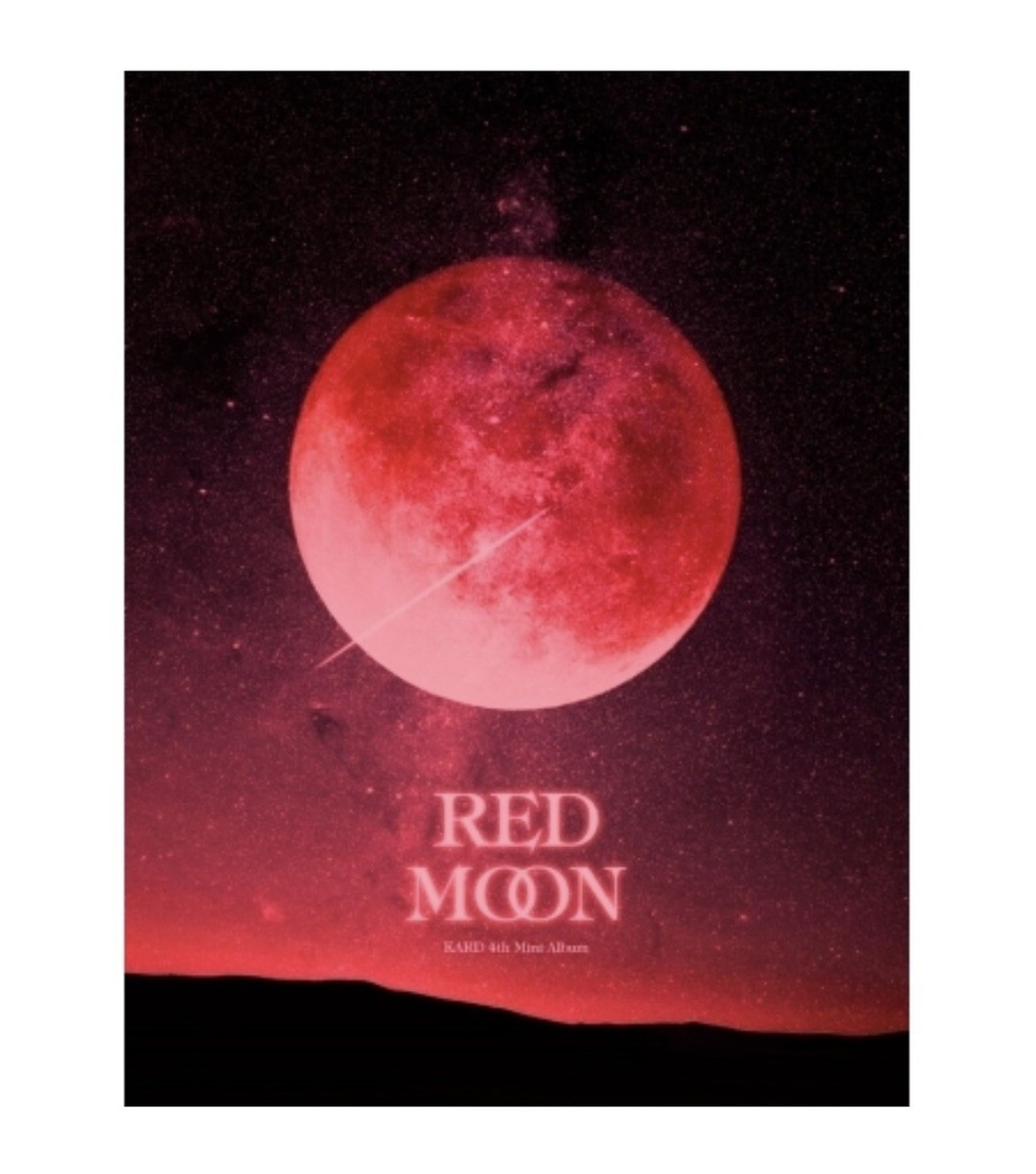 み*ん様 RED MOON ロードチーフ RDC-02 BK 廃盤品 REDMOON（レッド