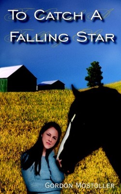 Mostoller - To Catch a Falling Star - New paperback or softback - X555z