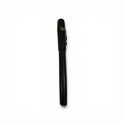 The Regal 14k Gold Original NIB Fountain Pen - 5 1/2''