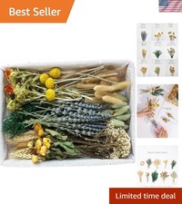 Dried Flower Set Natural Bulk Roses Lavender Baby Breath Bouquets for DIY Decor