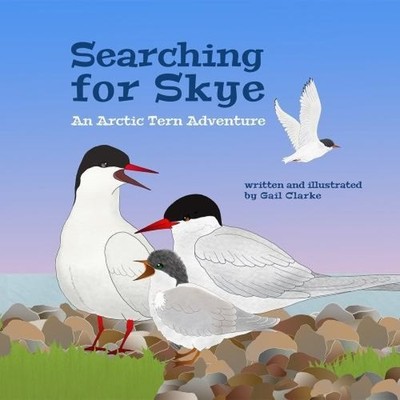 Searching for Skye An Arctic Tern Adventure Clarke Gail Paperback
