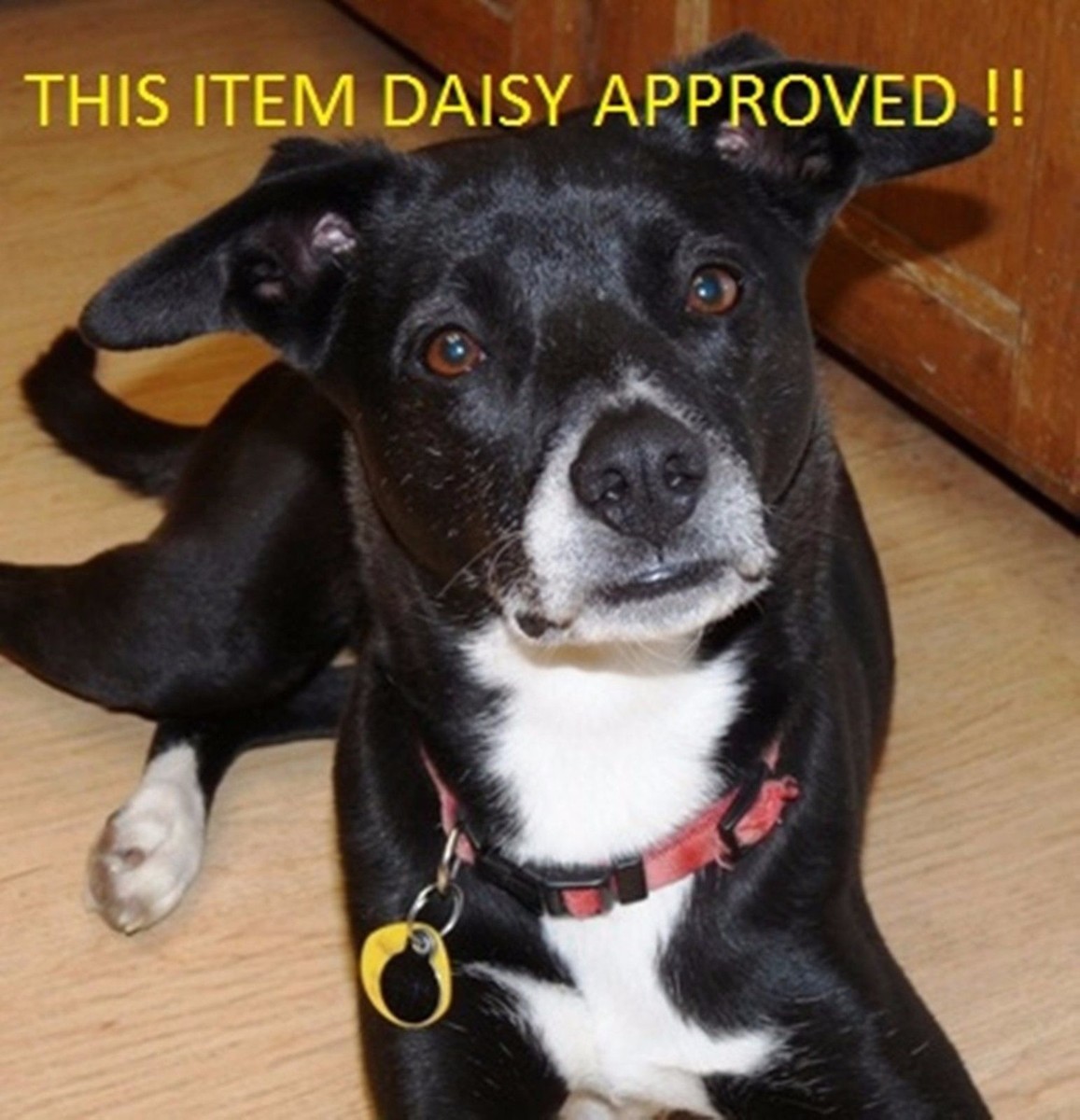 Drill America 3/8 In. -32 High Speed Steel Plug Hand Tap (1-Piece) DWTST3/8-32P - The Home Depot - Foto 6