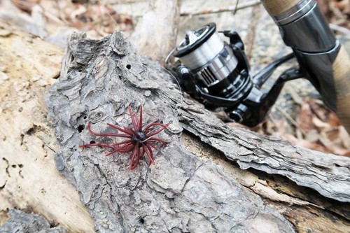 HIDEUP COIKE MINI 8mm dorso dopo 2 anni JDM scegli colore IN STOCK - Foto 10 di 25