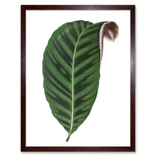 Leaf Jungle Paradise 12X16 Inch Framed Art Print