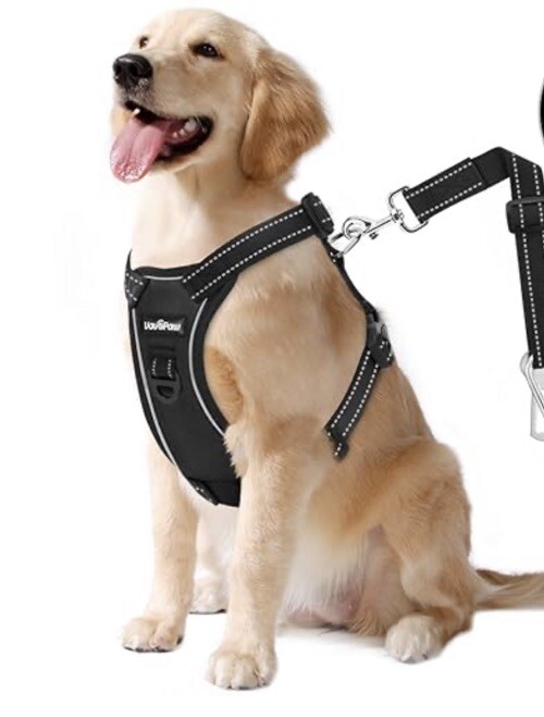 Dog Harness Dog Vehicle Safety Vest Harness, Adjustable Soft Padded M