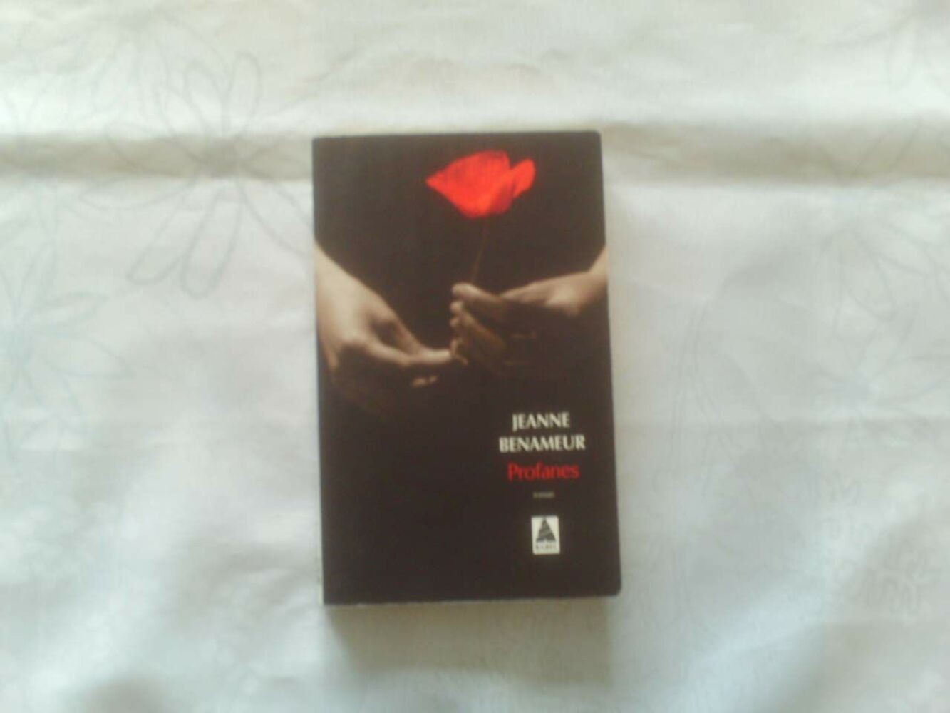 Profanes - Novel | Jeanne Benameur | Very good condition