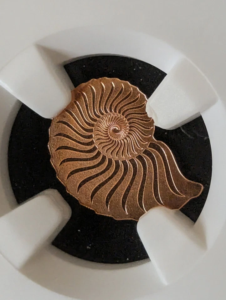 2019 Mongolia AMMONITE 1000 Togrog 0.5g 750 Rose Gold ❗️LIMITED MINTAGE❗️ - Image 3 of 4