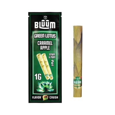 King Palm | King | Natural | Prerolled cones & Filter | 2 Pack of 3 Each =6Rolls