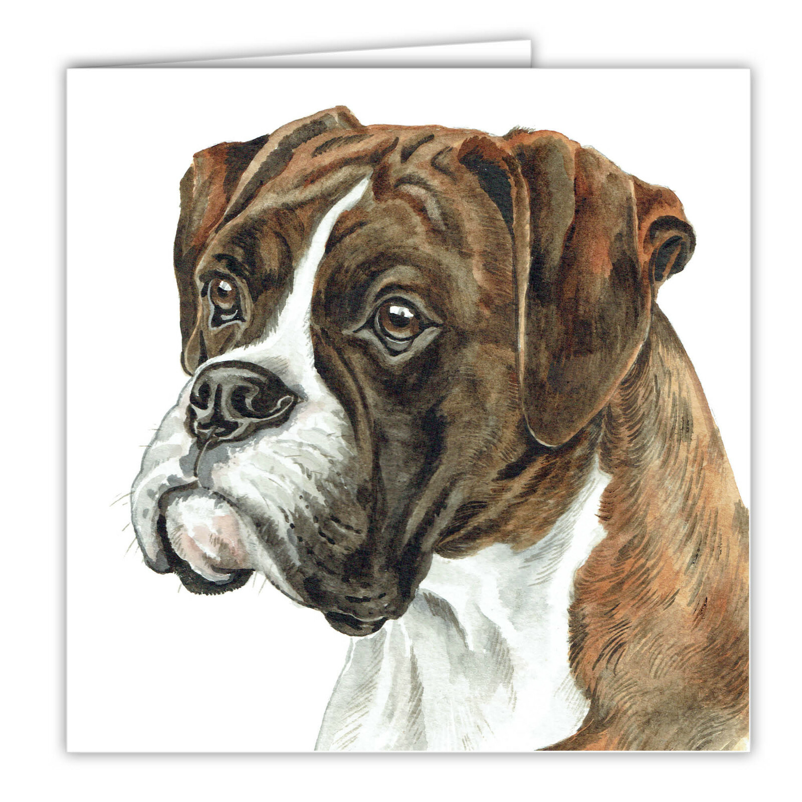 Brindle Boxer greetings card dog blank card dogs Boxers WAGGYDOGZ art card print