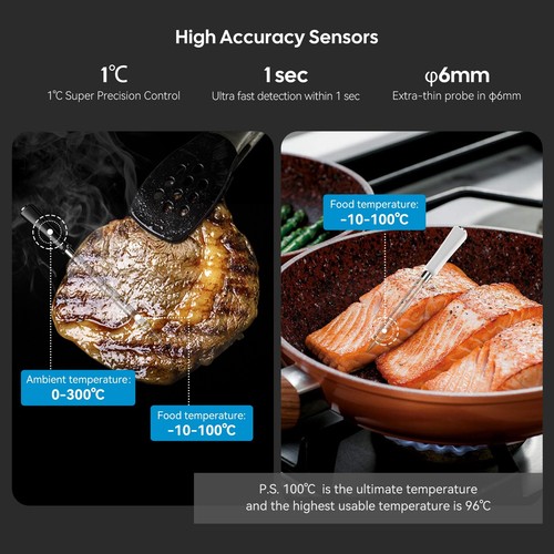 Tempwise Kabellos Fleischthermometer Grillthermometer Dual Sonden Ofen Grill APP - Bild 14 von 18