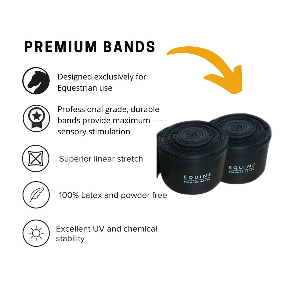 Equine Band System Dressage Core Conditioning Training Aid by Equine Balance - Image 4 of 4