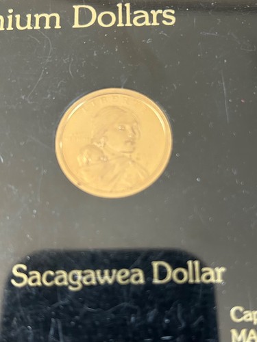 2000 U.S. MILLENNIUM TONED MS EAGLE AND PROOF SACAGAWEA DOLLAR SET IN HOLDER - Picture 7 of 10