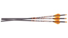 Ravin .001" Premium Match-Grade Lighted Arrows 400 Grain Carbon 3 Units - R134