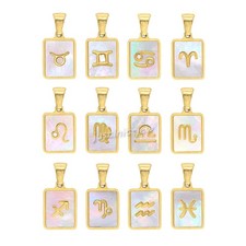 Zodiac Sign Pendant Necklace 12 Astrology Charms with Mother of Pearl Inlay