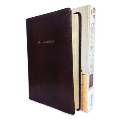 Biblia Scofield de Estudio Pastoral Reina Valera 1960 imit. piel marrón