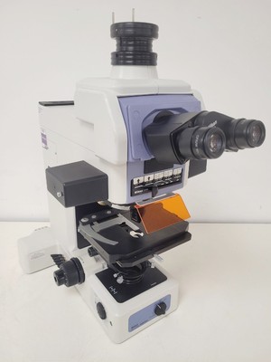 Nikon Eclipse E800 Mikroskop W / Plan Flour 10x/0.30 Objective Labor