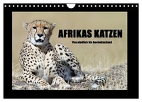 Afrikas Katzen (Wandkalender 2027 Din A4 Quer), Calvendo Monatskalender