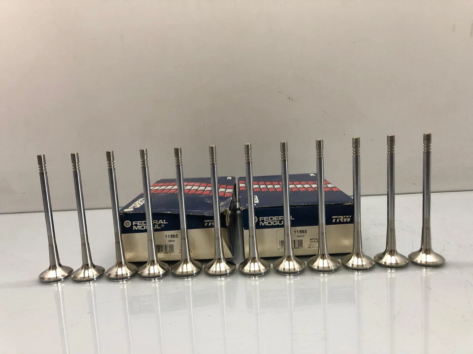 12 Piezas X VÁLVULA DE ESCAPE 11565 TRW 11341316986 Para M5 Touring 24v BMW E34 S38 B39 Foto 2 de 4