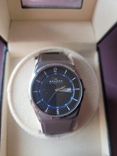 Montre Homme Skagen Melbye Titanium mouvement à Quartz trois aiguilles inox