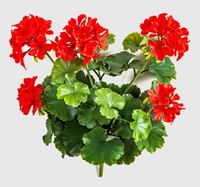 Artplants Kunststoff Geranie Ottavia Auf Steckstab, Crossdoor, Rot, 40Cm