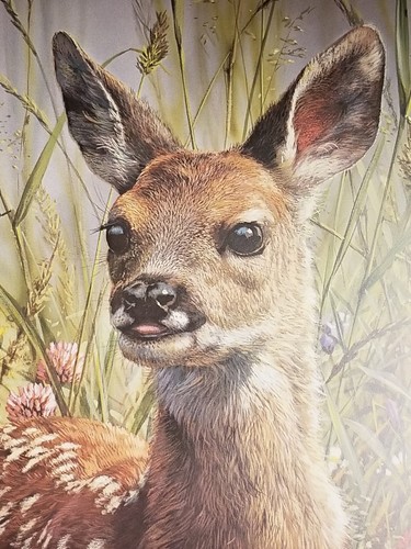 Carl Brenders " Spring Fawn " Deer MINT 36/1500 $800 Value Rare 1989 w/cert - Picture 3 of 8