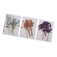 Pressed Dried Flowers  Jewelry Floral deocration crafts Card