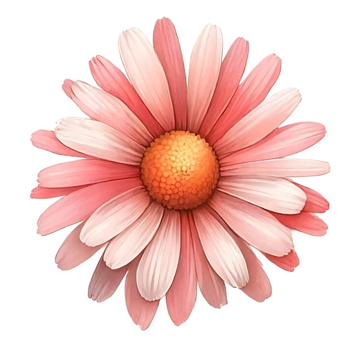 Daisy Flower Floral Self Adhesive Vinyl Sticker