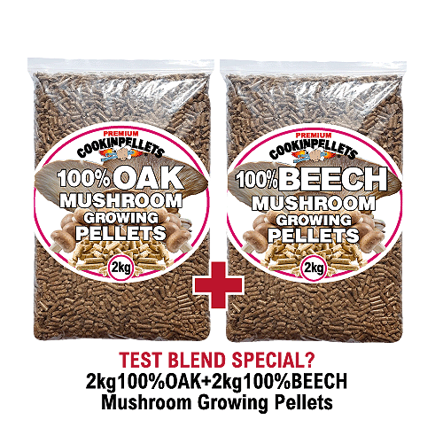 Pellet premium 100% rovere - ORO - 100% faggio legno duro - miglior mezzo di coltivazione per funghi - Foto 3 di 13