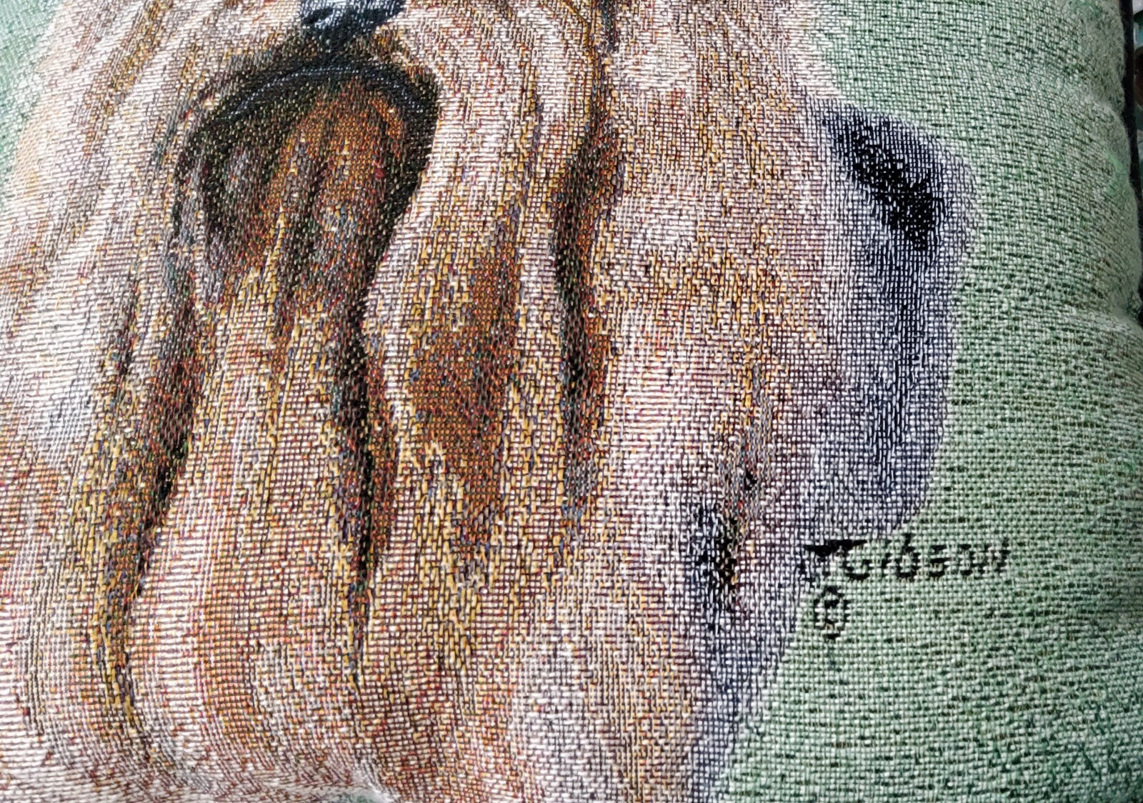 Picture 4 of 7