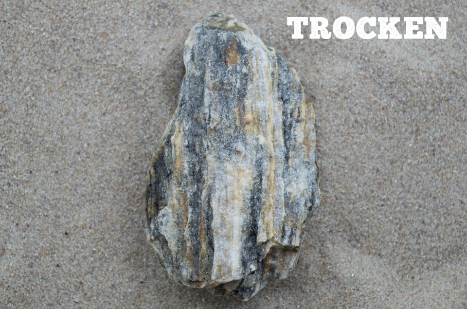 Aquarium Steine 4 KG Glimmer Woodstones Gr S Malawi Barsche Nanodeko Aquascaping - Bild 4 von 4