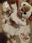 Ty Beanie Baby Lot Of 11- Vintage Snip The Siamese Cat Plush Animal