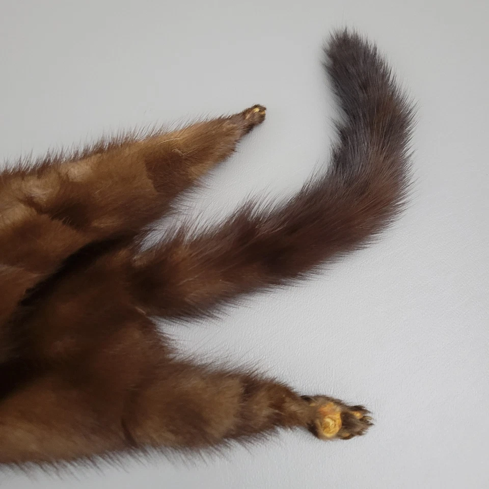 Estola de piel de visón Plainfield vintage chal galerías piel Foto 4 de 4