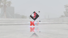 Video 1 von 1