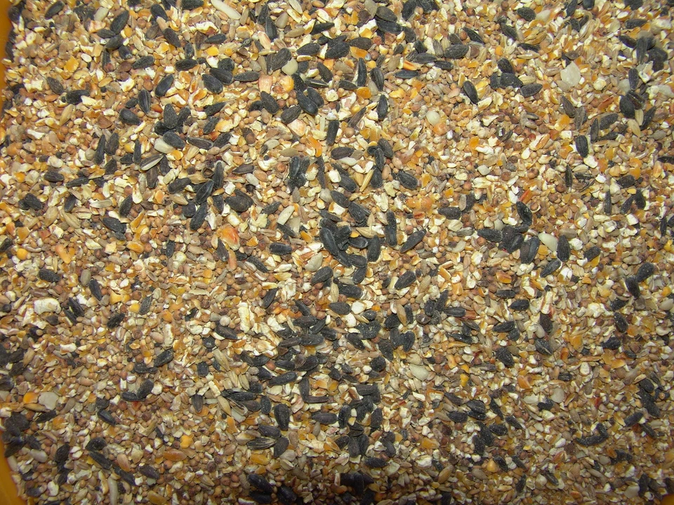 Vogelfutter 25KG mit Sonnenblumenkerne Streufutter/Wildvogelfutter (1,08€/Kg)