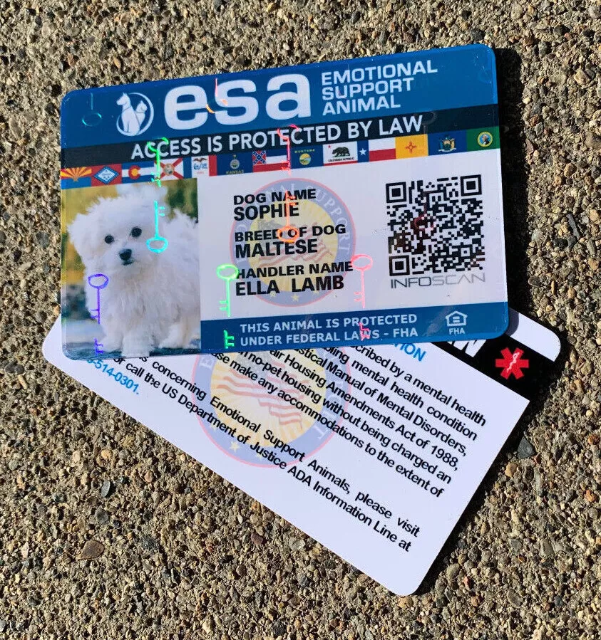 Ada esa sale registration