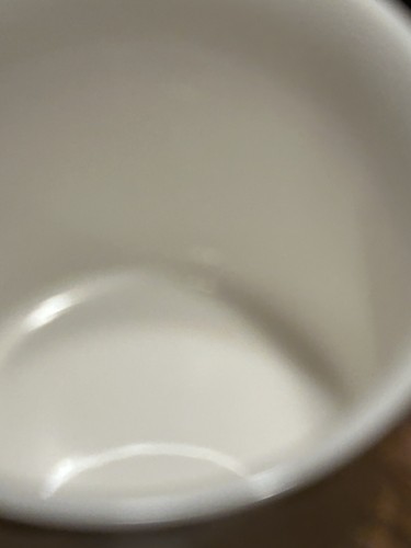 Queen Elizebeth II 90th Birthday Commemorative Fine China By Royal Crest - Picture 6 of 7
