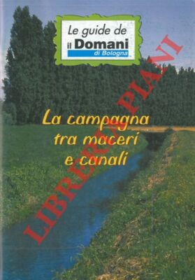 DIOLAITI Roberto - Die Kampagne zwischen Trümmern und Kanälen.