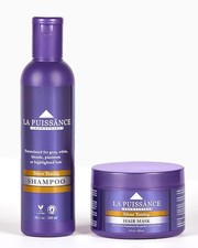 LA PUISSANCE Silver Toning Purple Hair Care Set - Shampoo Mask Bundle