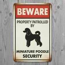 Beware Miniature Poodle Security 8 x 12 Vintage Novelty Metal Sign New 